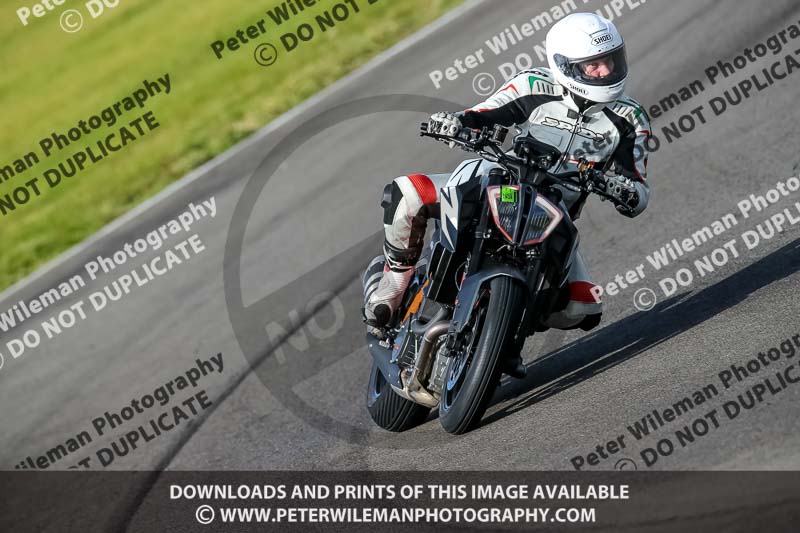 PJ Motorsport 2019;anglesey no limits trackday;anglesey photographs;anglesey trackday photographs;enduro digital images;event digital images;eventdigitalimages;no limits trackdays;peter wileman photography;racing digital images;trac mon;trackday digital images;trackday photos;ty croes